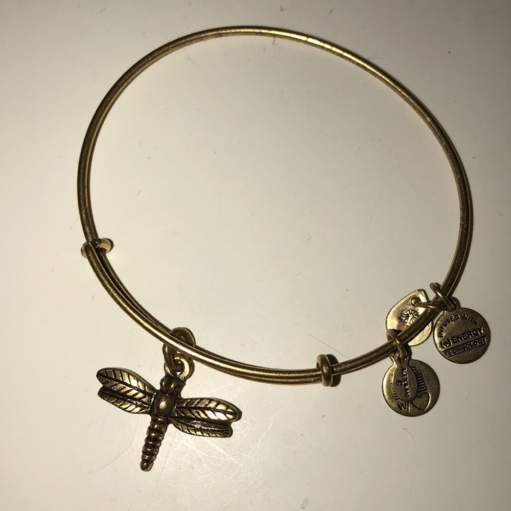 gold dragonfly bracelet!